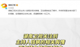 娱乐圈吃瓜爆料文案模版,明星背后的那些事儿